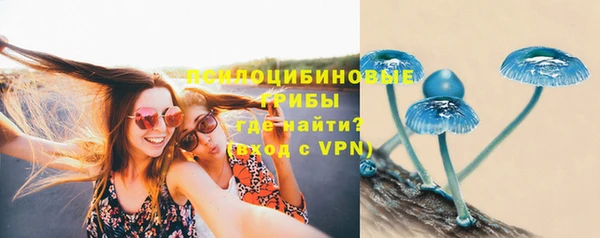 спайс Абдулино