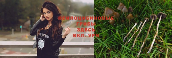 спайс Абдулино